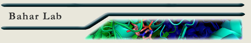 Bahaar Lab title bar