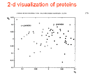 Protein Structure 