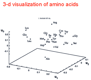 Protein Structure