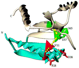 Conformational Dynaics of Proteins image